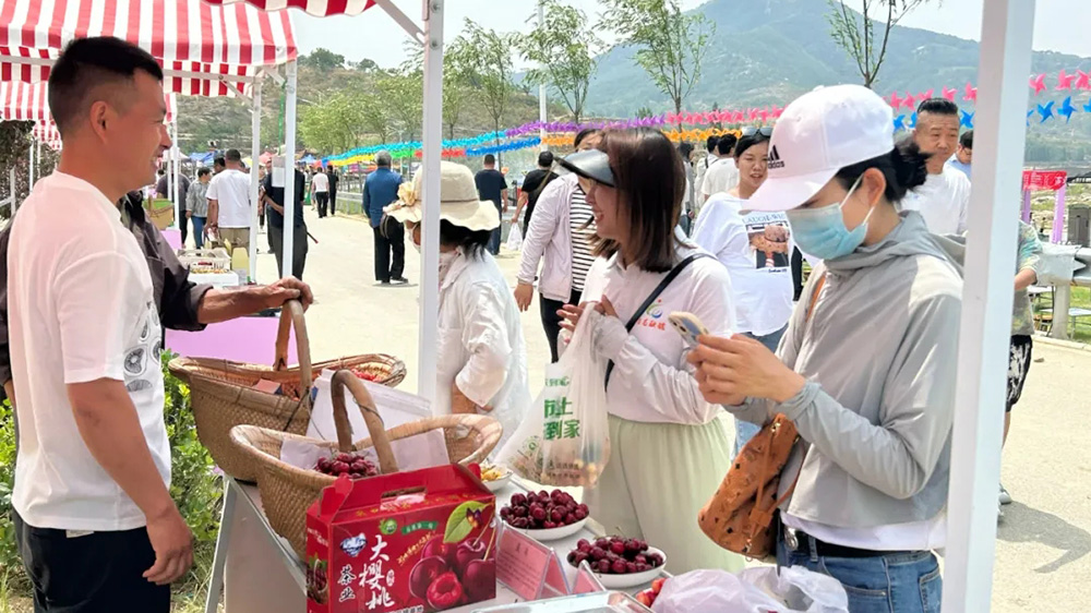 2024第十七屆濟(jì)南·萊蕪櫻桃文化旅游節(jié)展區(qū).jpg