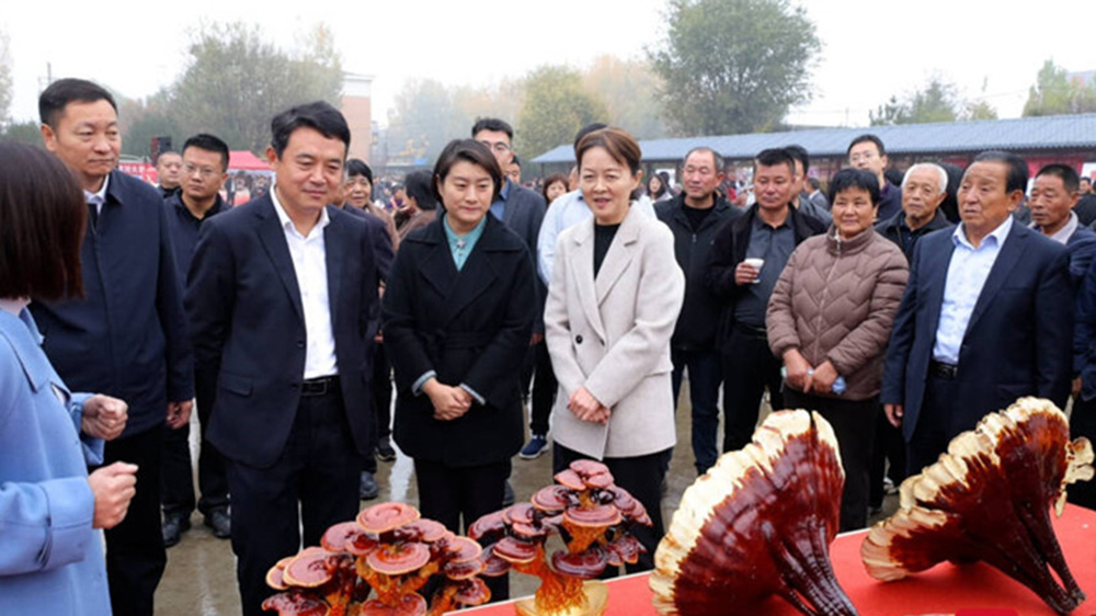 岱岳區(qū)祝陽鎮(zhèn)“靈芝文化旅游節(jié)”現(xiàn)場圖.jpg