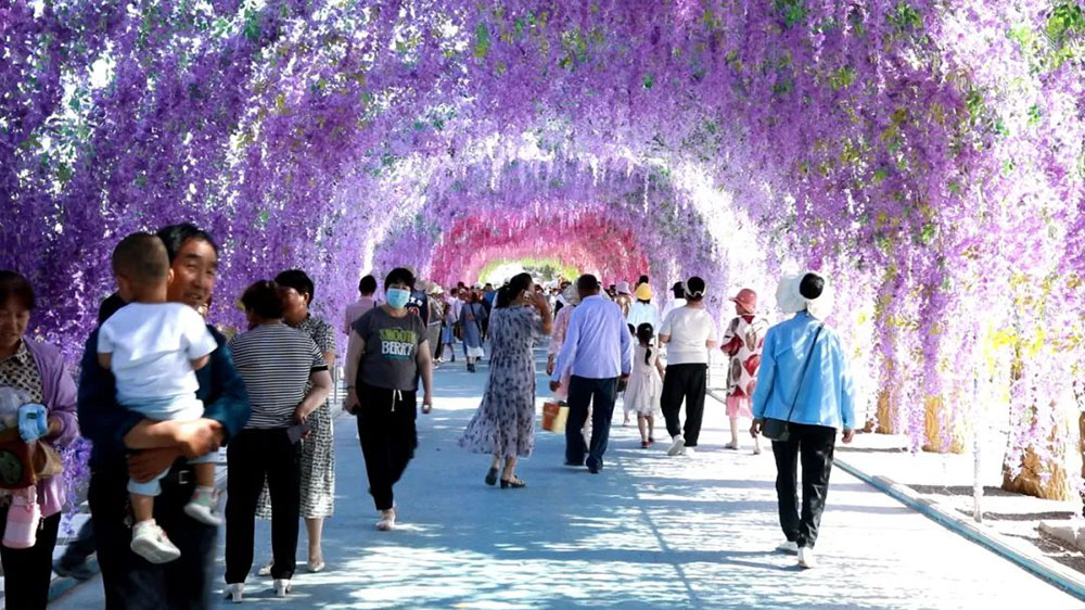 瓜州縣第四屆福祿花田文化旅游節(jié)現(xiàn)場.jpg